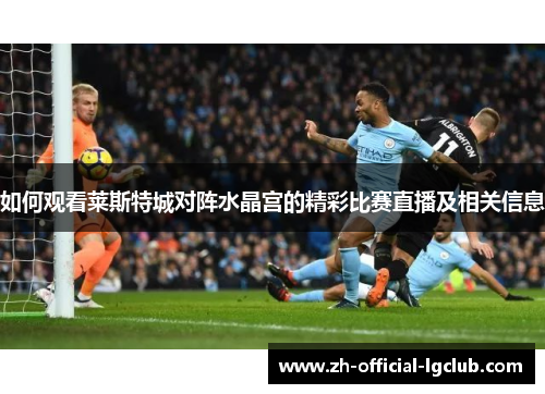 如何观看莱斯特城对阵水晶宫的精彩比赛直播及相关信息